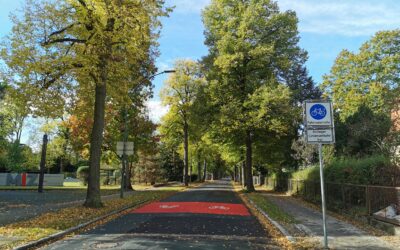 Perspektiven der Oberflächengestaltung von Radwegen im Land Brandenburg